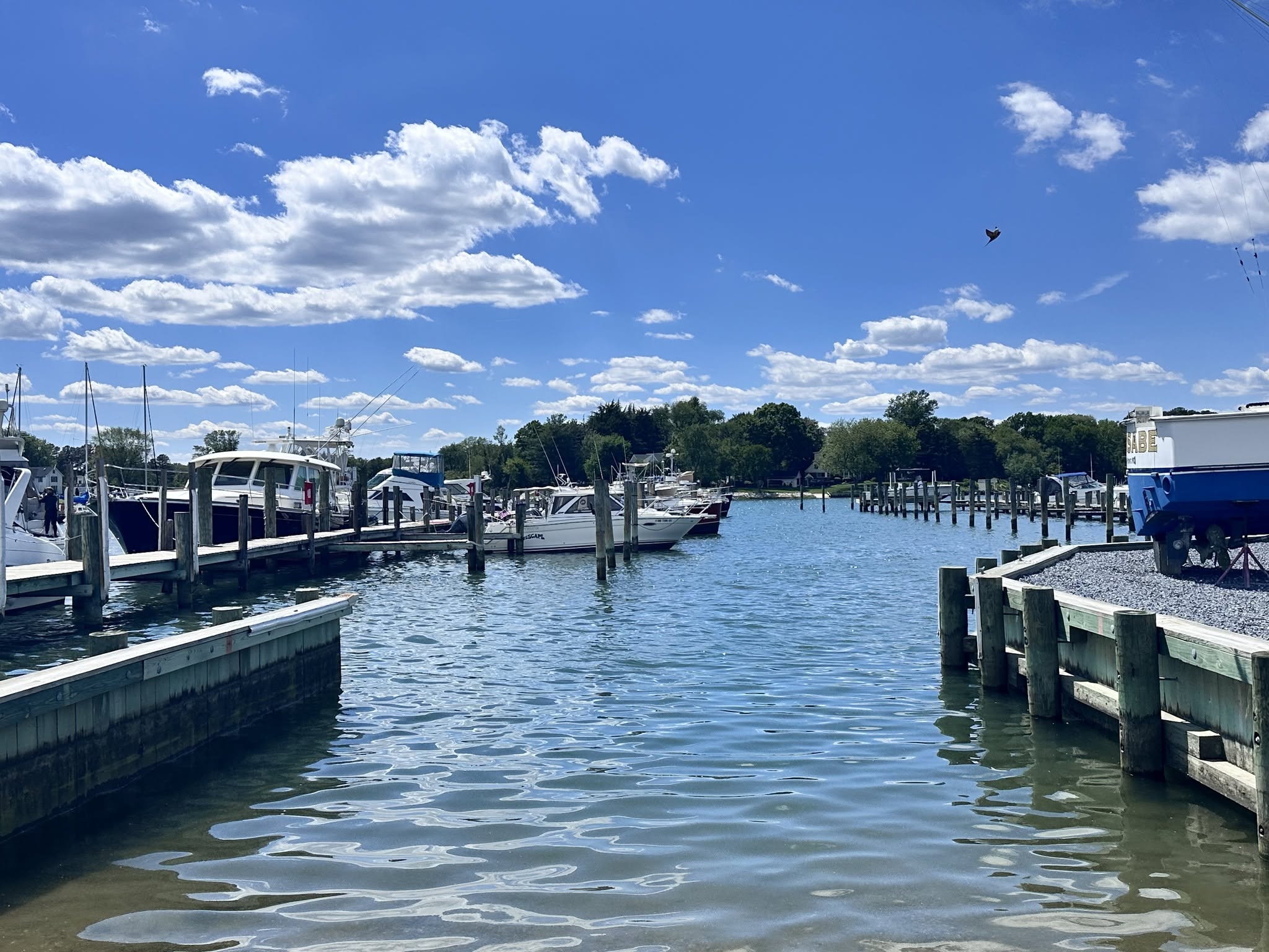 Water-level view of the docks and boats at Eastern Bay Yachting Center